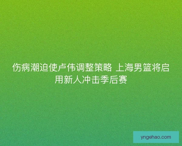 伤病潮迫使卢伟调整策略 上海男篮将启用新人冲击季后赛