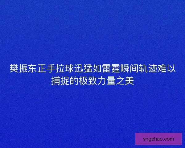 樊振东正手拉球迅猛如雷霆瞬间轨迹难以捕捉的极致力量之美